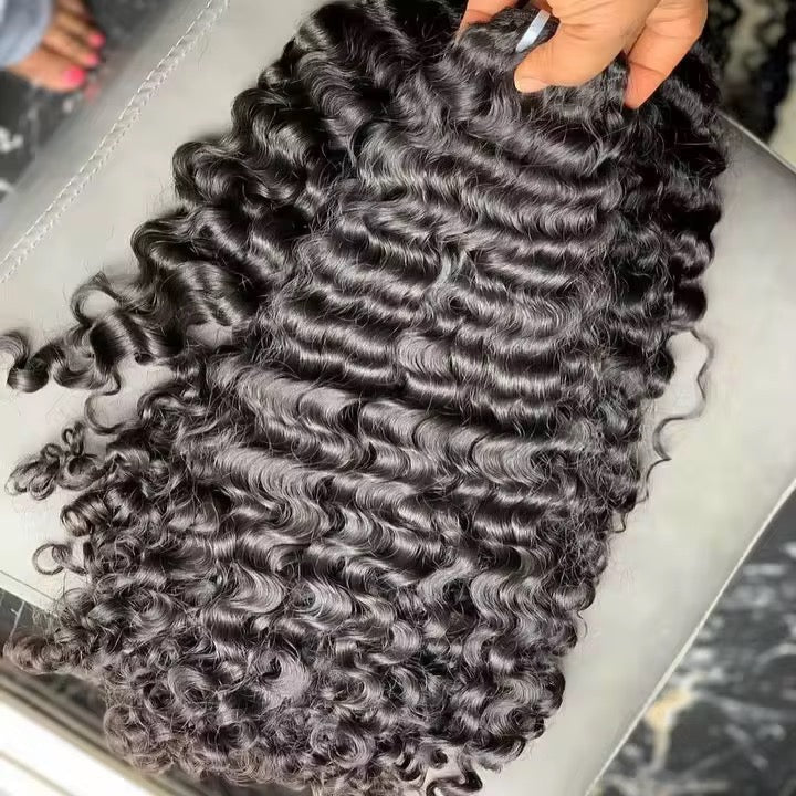 Burmese Curly Collection